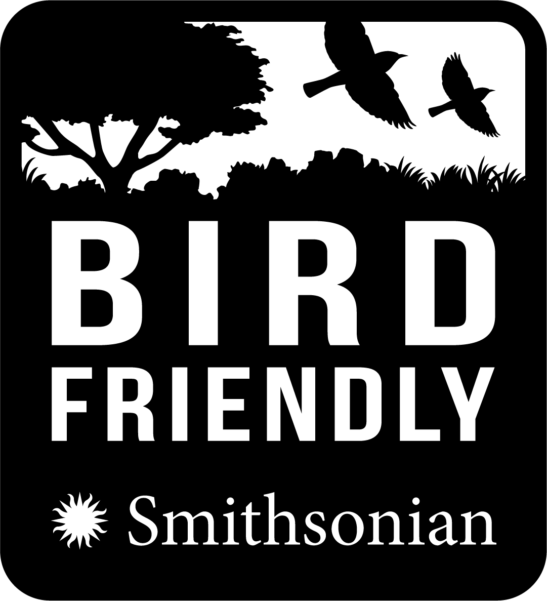 SBF Logo